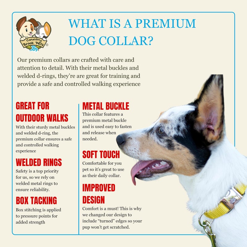 Country Brook Design Country Brook Petz - Premium Nylon Dog Collar with Metal Buckle for Small Medium Large Breeds - 10+ Warm Colors (Extra Large, 1 Inch, Gold) - Image 5